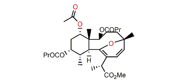 Methyl briareolate